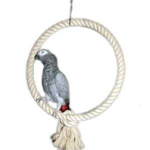 STRONG BIRD TOY CIRCLE L 40CM