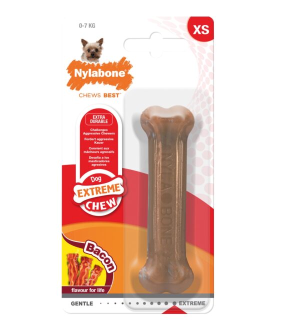 NYLABONE DURA CHEW BACON XS