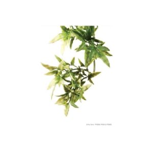EXO TERRA PLANTA CROTON L