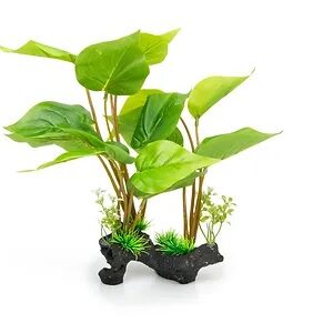 GIGANTERRA PLANTA