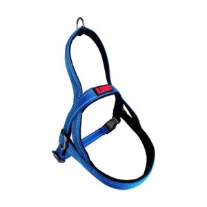 KONG PEITORAL NYLON NORWEGIAN HARNESS S AZUL