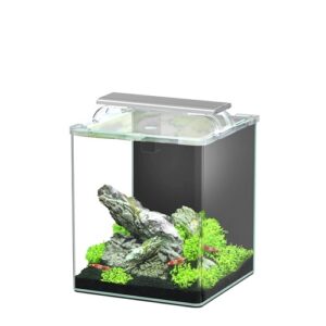 KUBUS AQUARIO CURVE 20L COMPLETO