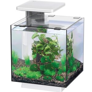 SUPERFISH QUBIQ 15 PRO WHITE
