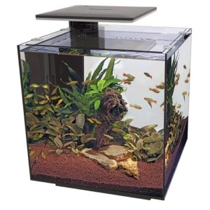 SUPERFISH QUIBIK 60 PRO BLACK