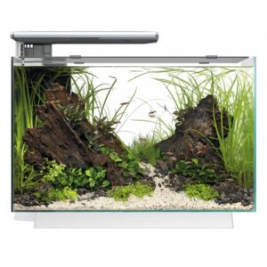 SUPERFISH AQUARIO  QUADRO 70 PRO WHITE