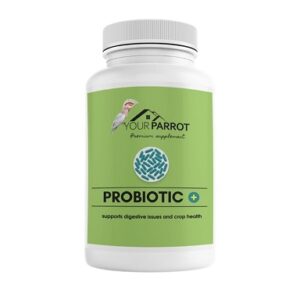YOUR PARROT PROBIOTIC + SUPLEMENT 500G